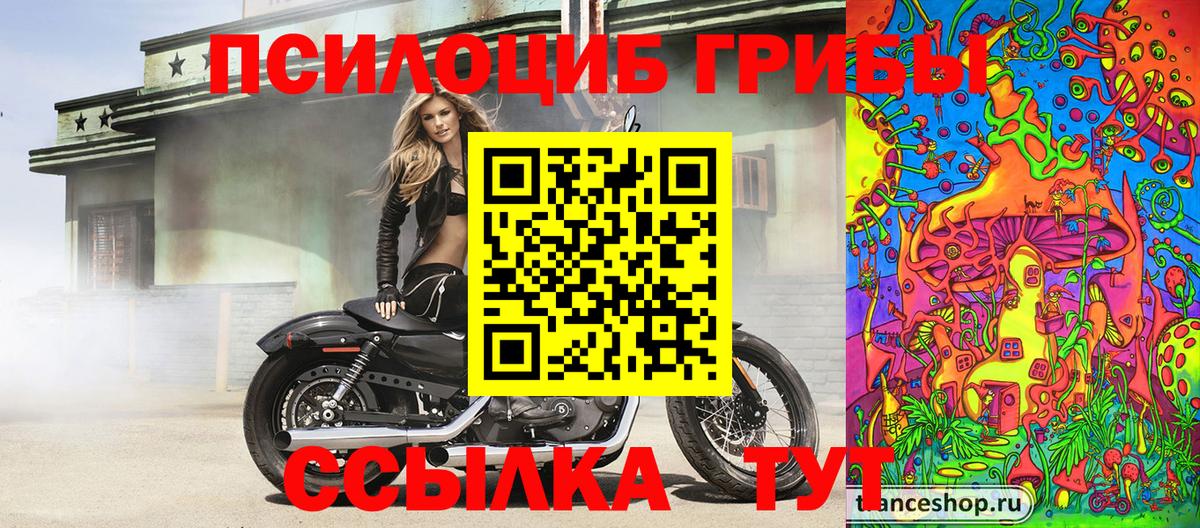Галлюциногенные грибы GOLDEN TEACHER  Вход с VPN  Кинель 