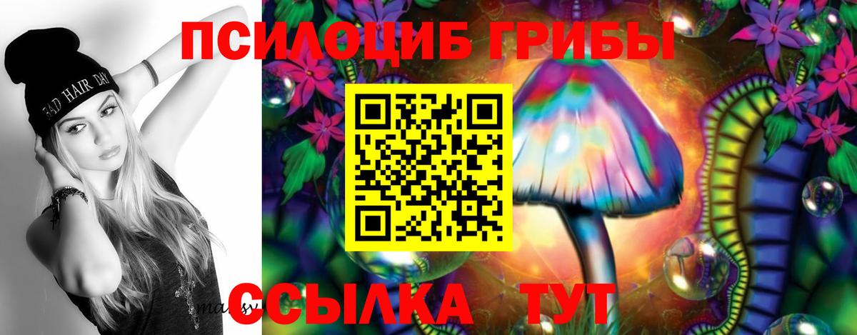 Галлюциногенные грибы прущие грибы Кинель