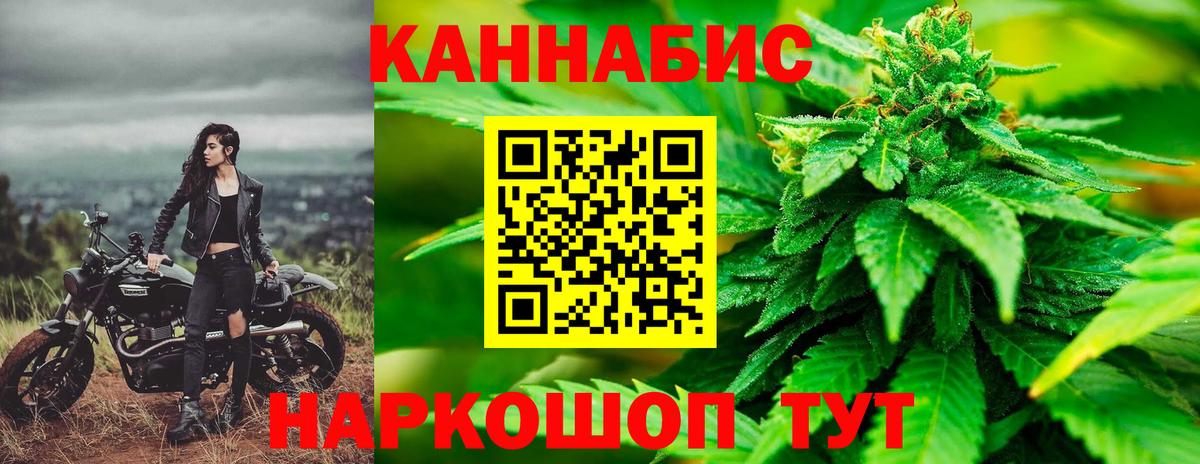Бошки Шишки планчик Кинель